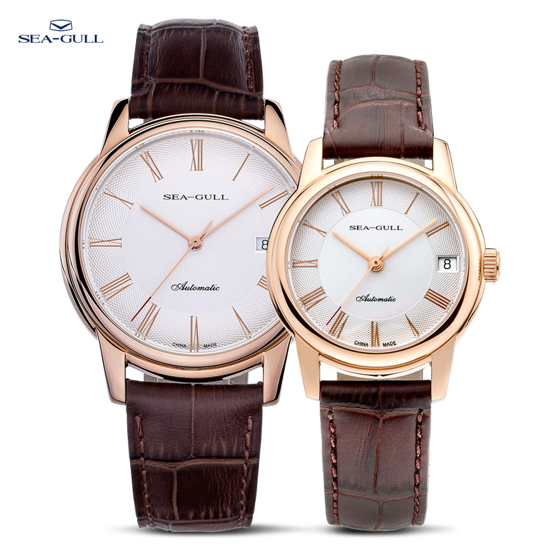 Seagull Men's Mechanical Watch - огляд і ціна Omega Watch Constellation