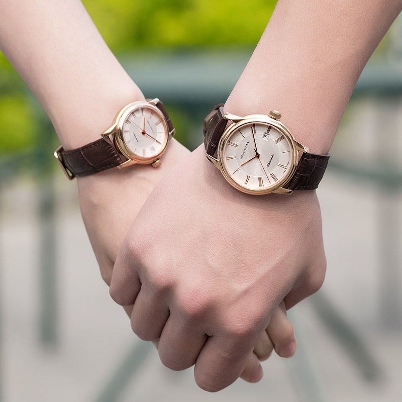 Seagull Men's Mechanical Watch - огляд і ціна Omega Watch Constellation